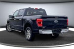 2021 F-150 Thumbnail 4