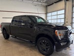 2022 F-150 Thumbnail 6