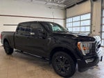2022 F-150 Thumbnail 6