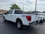 2022 F-150 Thumbnail 4