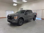 2022 F-150 Thumbnail 4