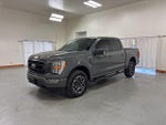 2022 F-150 Thumbnail 4