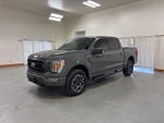 2022 F-150 Thumbnail 4