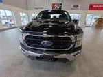 2022 F-150 Thumbnail 3
