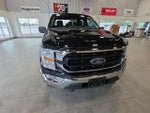 2022 F-150 Thumbnail 4