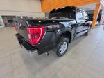 2022 F-150 Thumbnail 9