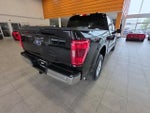 2022 F-150 Thumbnail 10