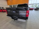 2022 F-150 Thumbnail 11