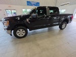 2022 F-150 Thumbnail 17