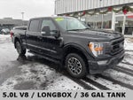 2022 F-150 Thumbnail 1