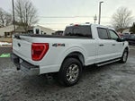 2023 F-150 Thumbnail 5