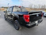 2023 F-150 Thumbnail 5