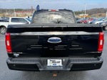 2023 F-150 Thumbnail 6