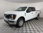2023 F-150 Thumbnail 3