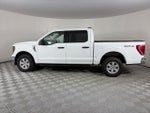 2023 F-150 Thumbnail 4