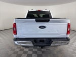 2023 F-150 Thumbnail 6