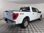 2023 F-150 Thumbnail 7
