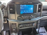 2023 F-150 Thumbnail 18