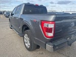 2023 F-150 Thumbnail 8