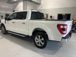 2023 F-150 Thumbnail 7