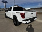 2023 F-150 Thumbnail 7