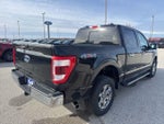 2023 F-150 Thumbnail 5