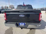 2023 F-150 Thumbnail 6
