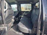 2023 F-150 Thumbnail 10