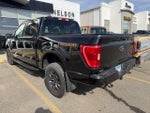 2023 F-150 Thumbnail 6
