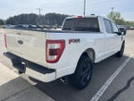 2023 F-150 Thumbnail 7