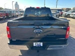 2023 F-150 Thumbnail 8