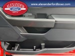 2023 F-150 Thumbnail 19