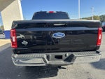 2023 F-150 Thumbnail 7