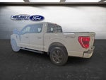 2023 F-150 Thumbnail 4