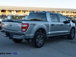 2023 F-150 Thumbnail 6
