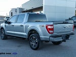 2023 F-150 Thumbnail 8