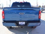 2023 F-150 Thumbnail 6