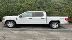 2023 F-150 Thumbnail 9