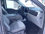 2023 F-150 Thumbnail 11