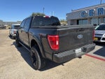 2023 F-150 Thumbnail 4