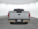 2023 F-150 Thumbnail 5