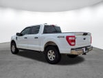 2023 F-150 Thumbnail 6