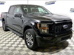 2023 F-150 Thumbnail 3