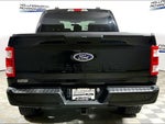 2023 F-150 Thumbnail 4