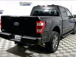 2023 F-150 Thumbnail 9