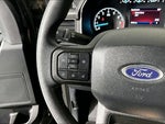 2023 F-150 Thumbnail 14