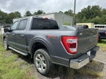 2023 F-150 Thumbnail 4
