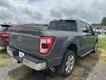 2023 F-150 Thumbnail 6