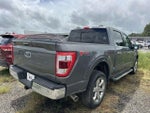 2023 F-150 Thumbnail 13