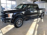 2018 F-150 Thumbnail 6